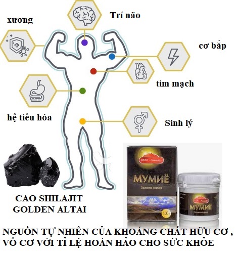 Cao shilajit cua nga nguon tu nhien cua vitamin khoang chat huu co ti le hoan hao tu nhien cho suc khoe fairfood