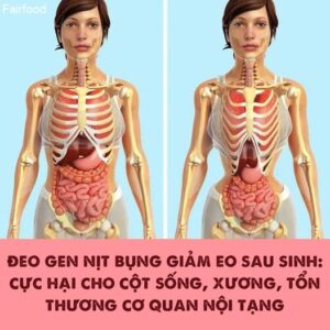 Đai nịt bụng đá nóng Tourmaline điều trị đau lưng, giảm eo,thải độc cơ thể  - Shop hàng tốt, sản phẩm chất lượng