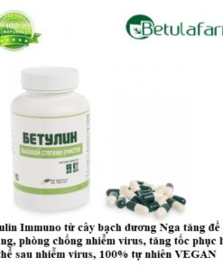 Betulin Immuno từ cây bạch dương Nga tăng đề kháng, phòng chống nhiễm virus, tăng tốc phục hồi cơ thể sau nhiễm virus, phòng ngừa cảm cúm, 100% tự nhiên VEGAN