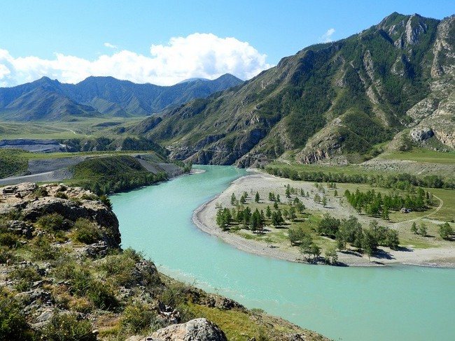 Nhung huou NGA vung Altai