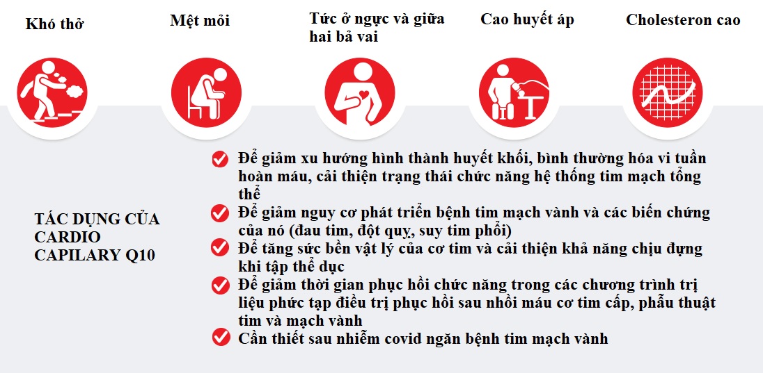 bo tim vien uong capilary cua nga coenzyme q10, selen, taxifolin, vitamin c 1