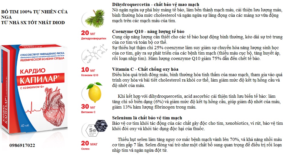 bo tim vien uong capilary cua nga coenzyme q10, selen, taxifolin, vitamin c4