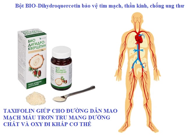 bot NANO biodihydroquecertin taxifolin chong oxy hoa, chong ung thu, lam sach mau